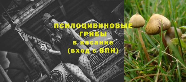 таблы Протвино
