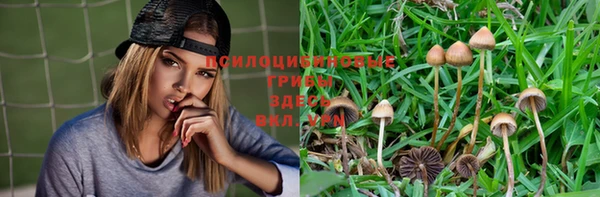 мдма Приозерск
