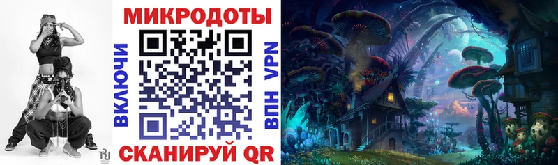 купить   Аркадак  Псилоцибиновые грибы ЛСД 