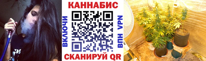 где купить наркоту  Аркадак  Бошки Шишки MAZAR 